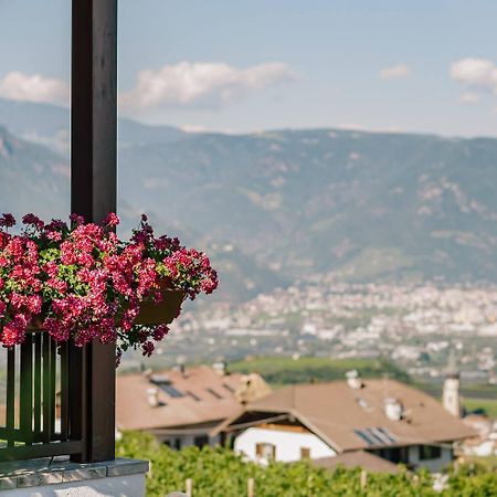 Appartement Strahlerhof à Appiano Sulla Strada Del Vino Extérieur photo