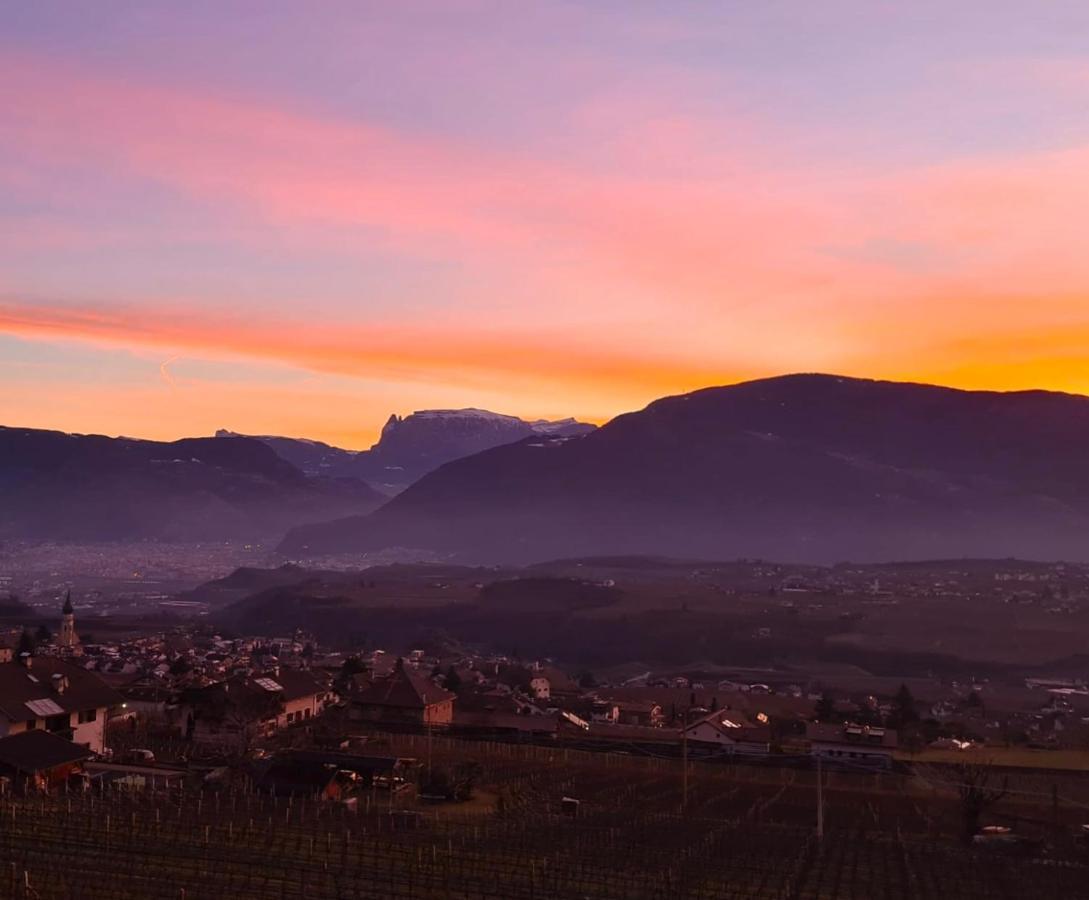 Appartement Strahlerhof à Appiano Sulla Strada Del Vino Extérieur photo