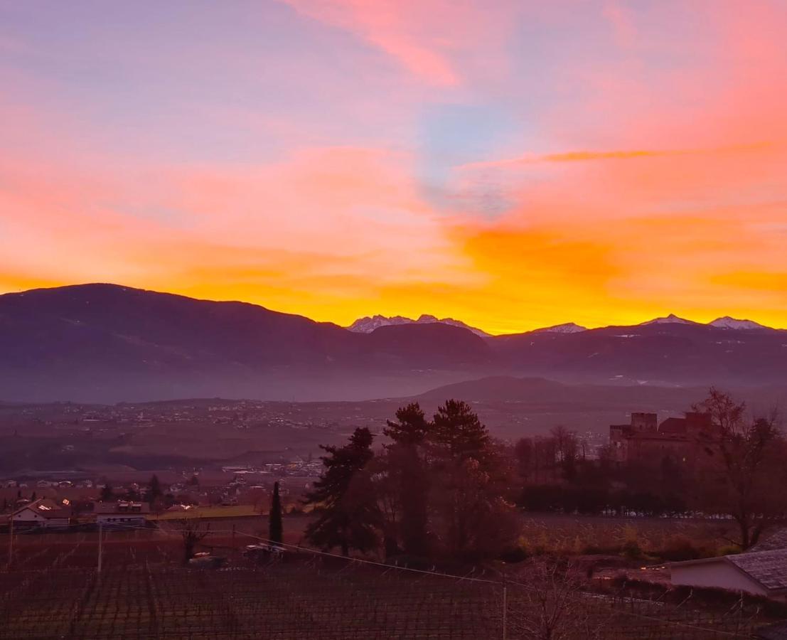 Appartement Strahlerhof à Appiano Sulla Strada Del Vino Extérieur photo