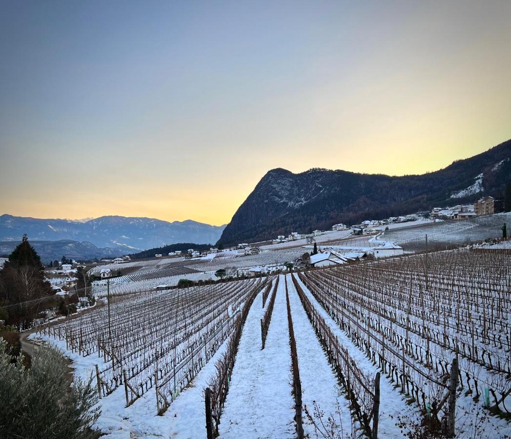 Appartement Strahlerhof à Appiano Sulla Strada Del Vino Extérieur photo