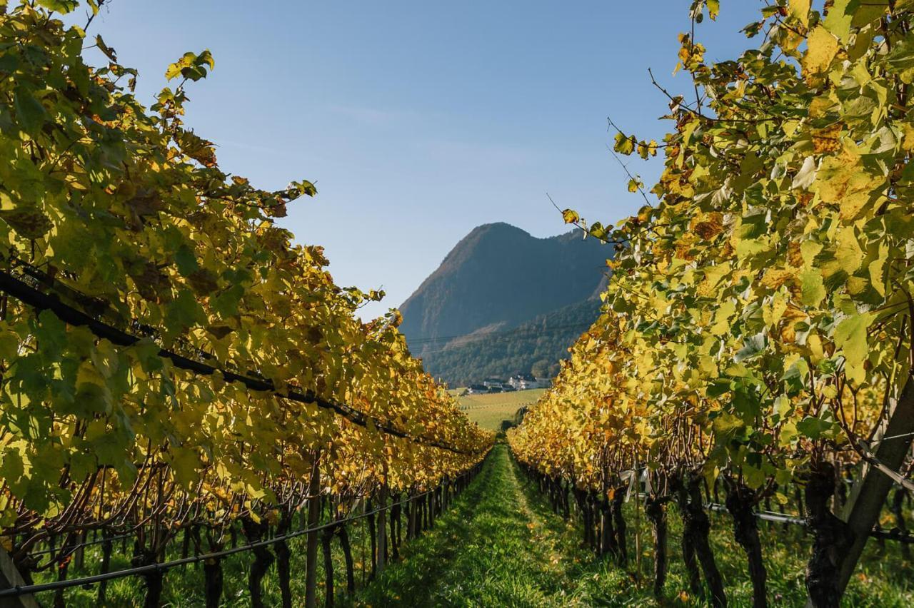 Appartement Strahlerhof à Appiano Sulla Strada Del Vino Extérieur photo